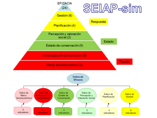 Figura 4. Flujo de trabajo del sistema simplificado de evaluación integrada de las áreas protegidas (SEIAP-sim)