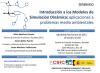 Seminario: "Introducción a los Modelos de Simulación Dinámica