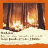 Disponible el pódcast sobre "Los incendios forestales y el uso del fuego: pasado, presente y futuro"