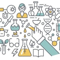 Votos para los doctorandos participantes en el concurso de vídeos 'Yo investigo. Yo soy CSIC'