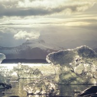 Los investigadores del IPP y del IEGD se suman a la COP25