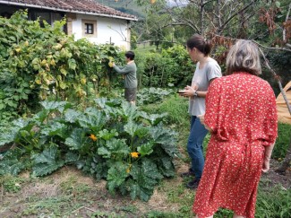 Proyecto FARM: Factores para el relevo generacional agrario sostenible