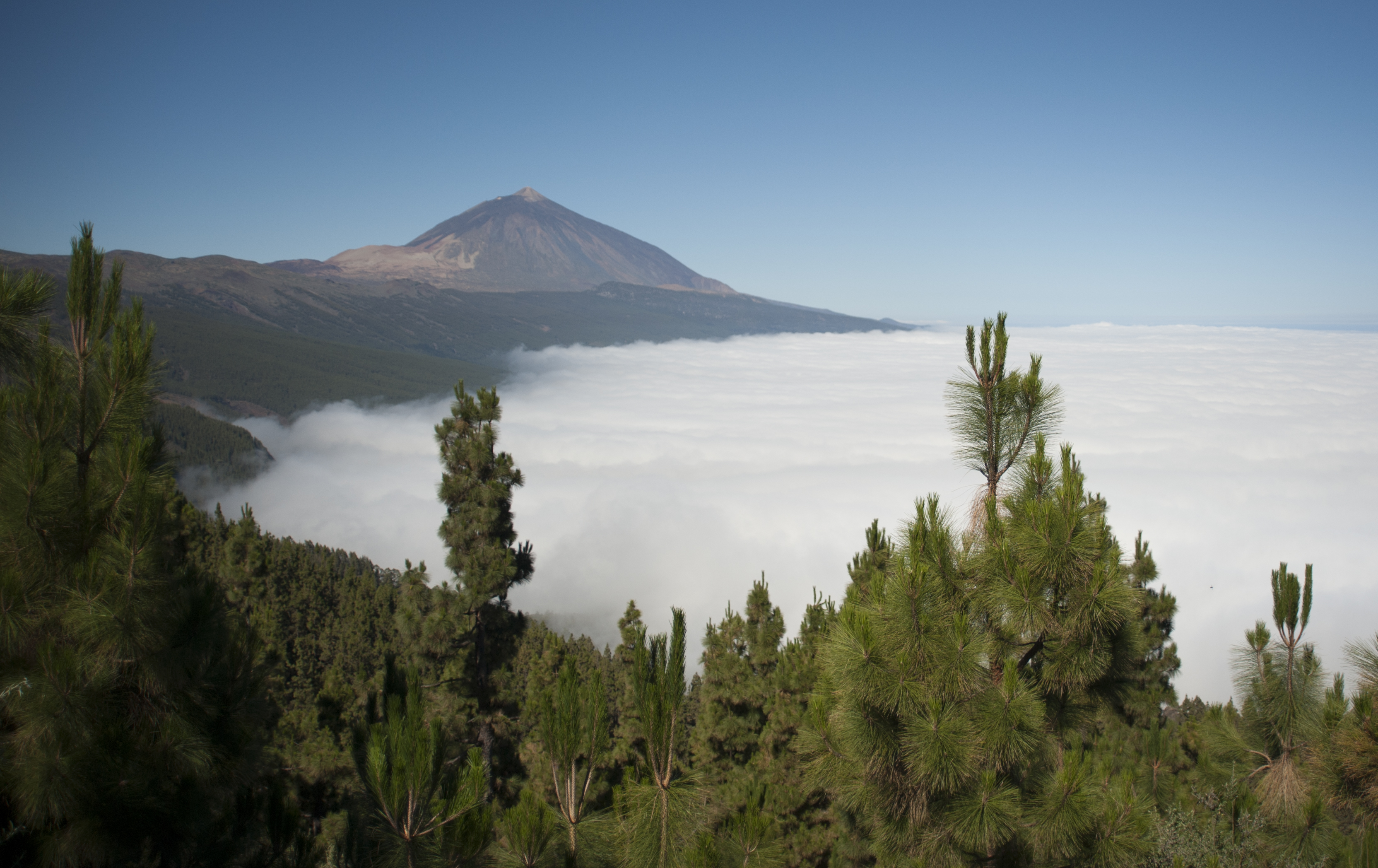 La principal amenaza de los Parques Nacionales, los incendios forestales